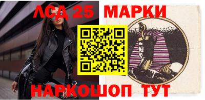 МДПВ Канаш