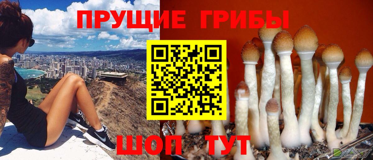 Галлюциногенные грибы Cubensis Комсомольск-на-Амуре